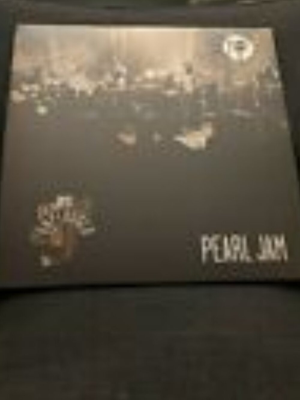 Pearl Jam MTV Unplugged 12-Inch Vinyl Album